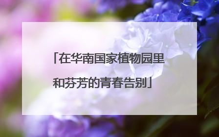 在华南国家植物园里和芬芳的青春告别